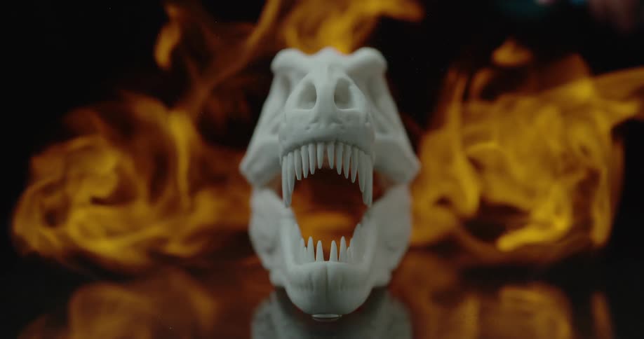 Bleached dinosaur fossil facing forward with stylized flames behind it