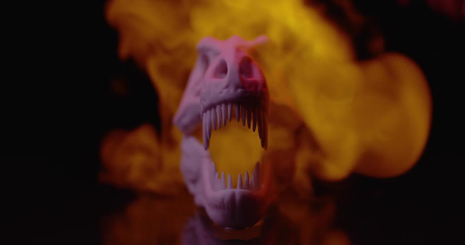 In a dark room an orange flame descends and briefly engulfs a small replica tyrannosaurus skull