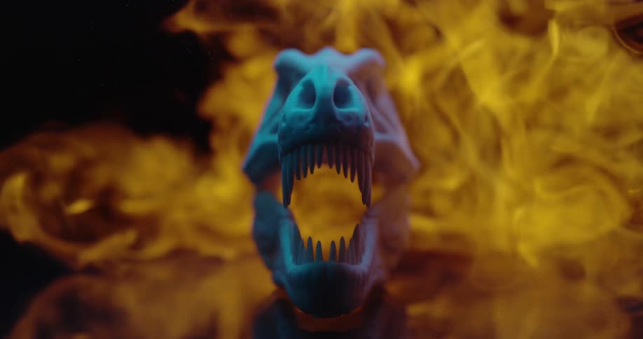 Flames surround a sculpture of a dragon skull