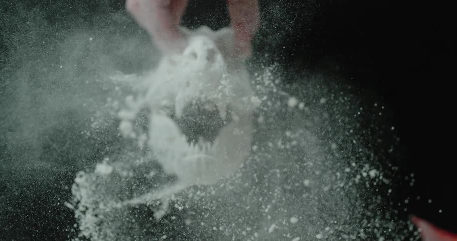 Model dinosaur skull being shaken and cleaned of dust and residue