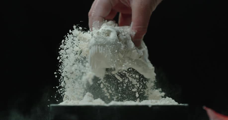 Someone pulls a miniature skull from a pile of white powder and shakes the excess powder off