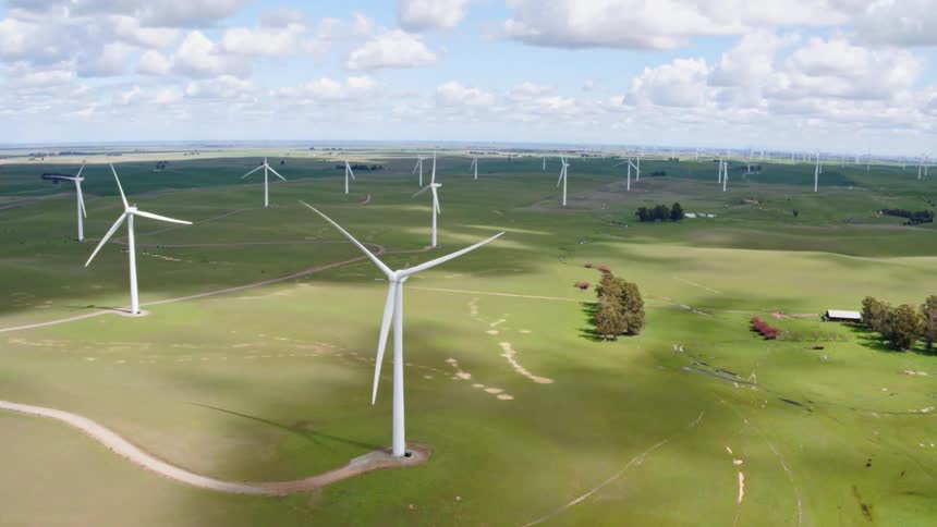 A farm of wind turbines generating power