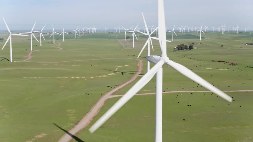A farm of wind turbines generating power