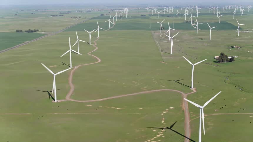 Wind turbines form rows on wind farm