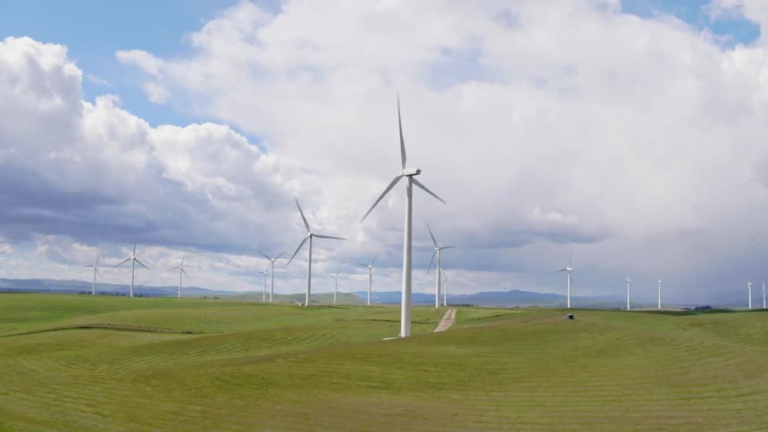 Several wind turbines in a field are turning in the breeze