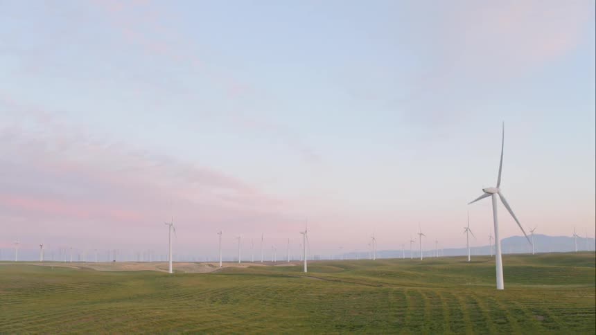 A farm of wind turbines generating power