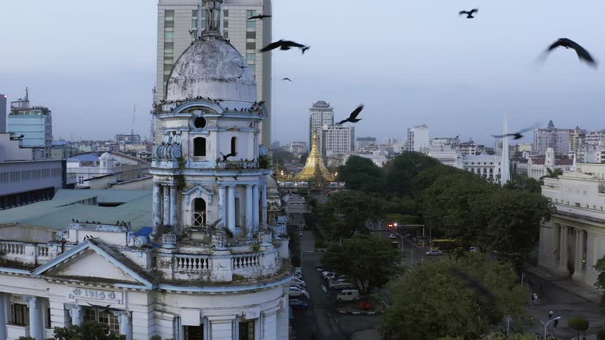 Birds flying in the sky with buildings and streets in the background