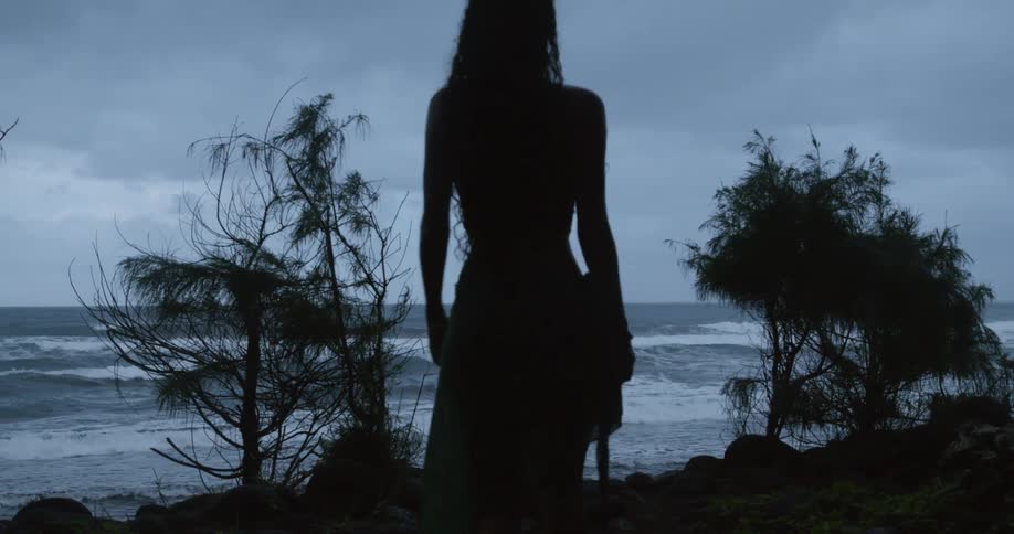 The silhouette of a woman walking towards the ocean