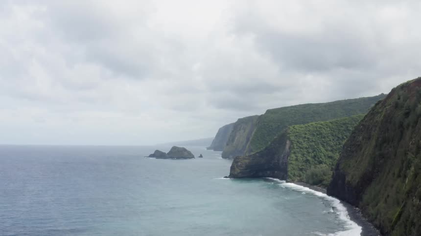 Cliffs covered with plants on a coast