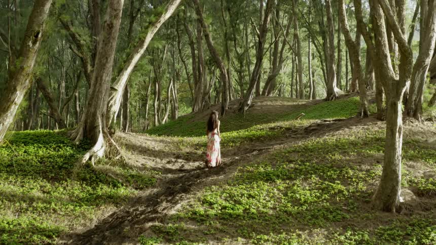 A woman with long hair and wearing a dress walks along a dirt path through a grove of trees