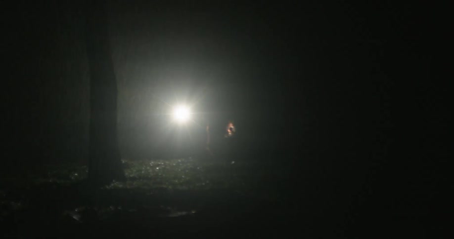 A group of person searching for something in the dark