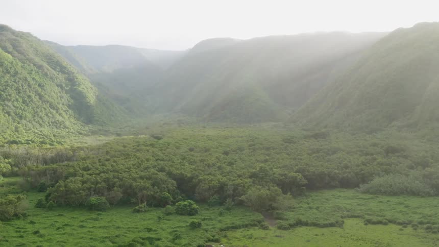 Puddles form in a valley surrounded by lush vegetation