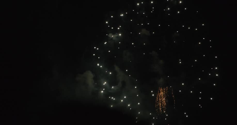 Fireworks go off in the night sky