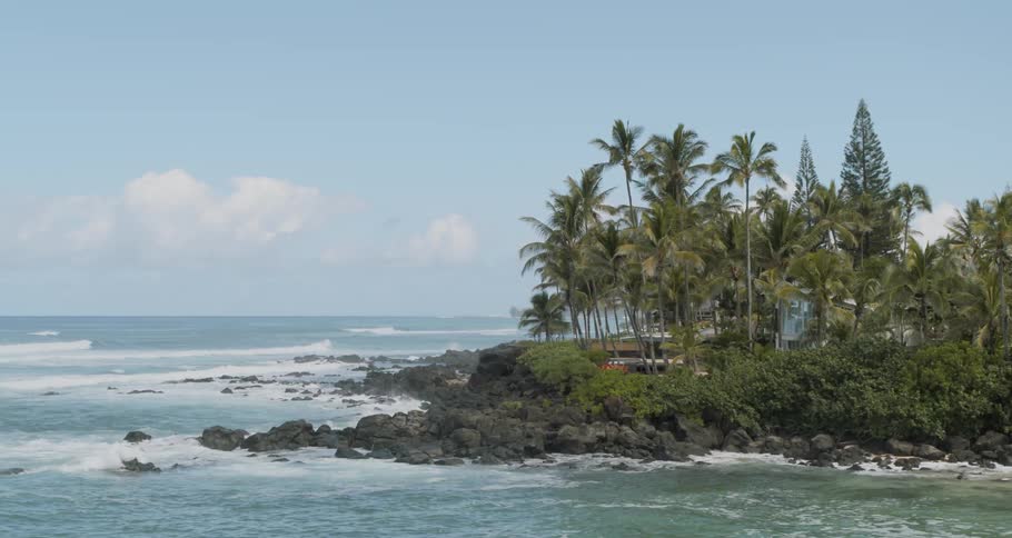 Waves crash against the rocks of a tropical shore with palm trees