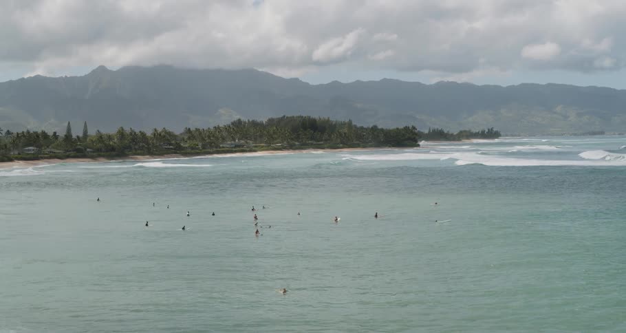 Surfers on boards waiting for waves near shore