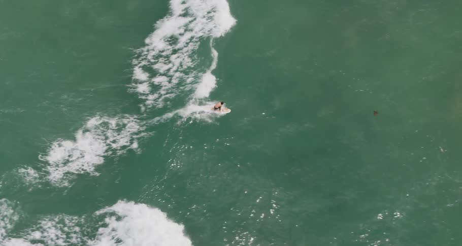 Man swims on surfboard in the sea on a sunny day
