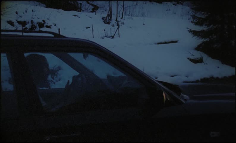 A person yells at a cell phone while sitting in car