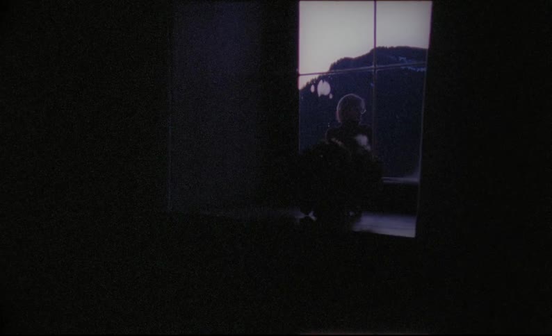 A flowering plant sits on a window sill and a person standing outside is visible through the glass panes