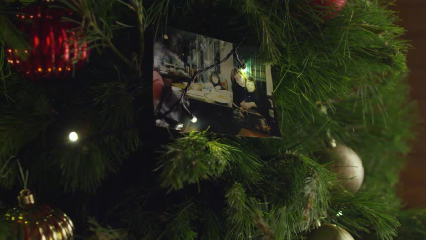 A Christmas tree with a family picture in the middle of the branches