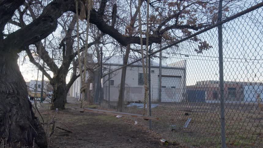 A rope swing hangs from a tree branch next to a chain link fence