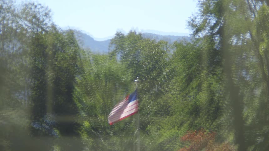 An american flag waving in a forest