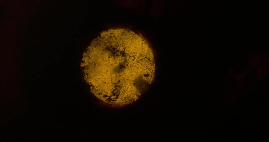 A bubbling yellow and black circle shifts and fades and disappears