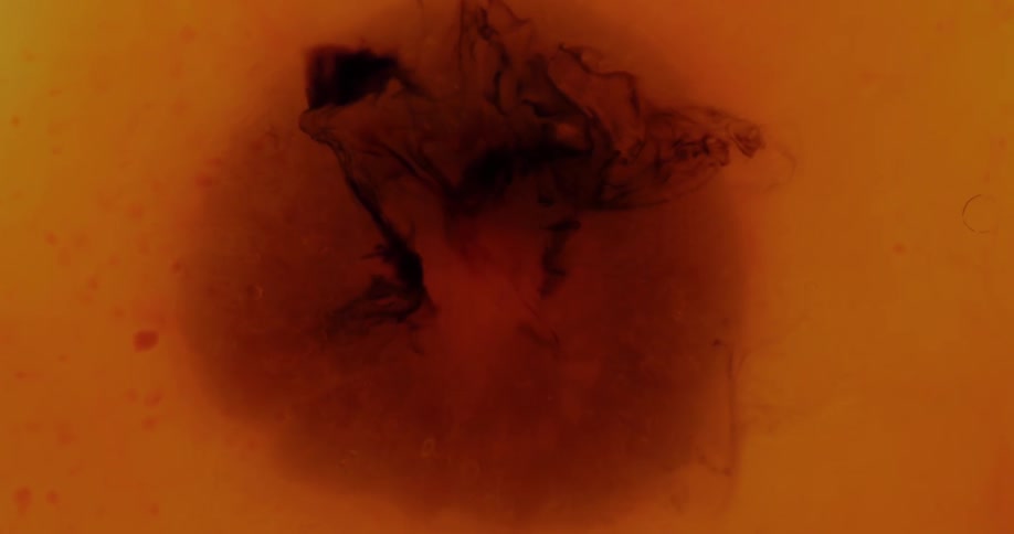 The color swirls around in the liquid