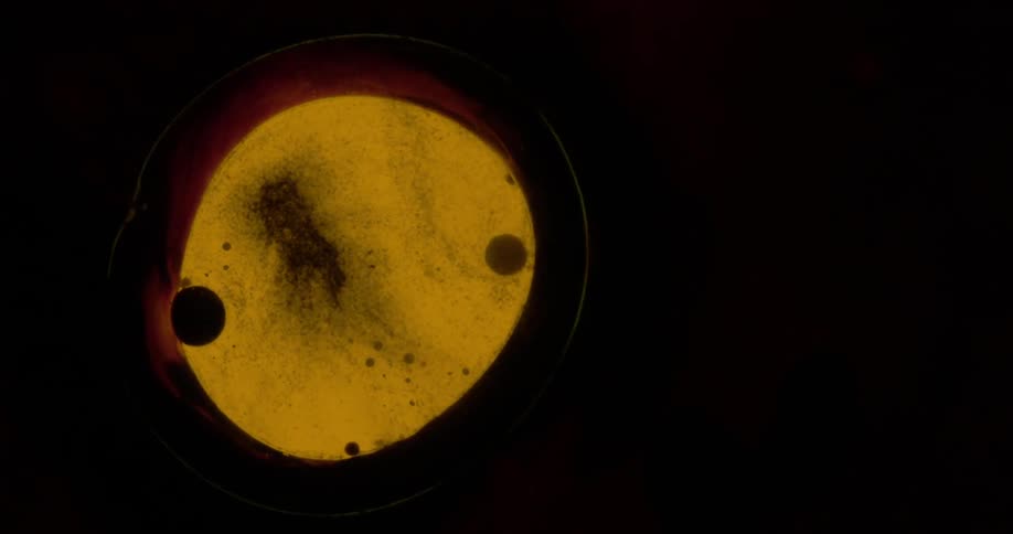 A liquid is being mixed into a bowl