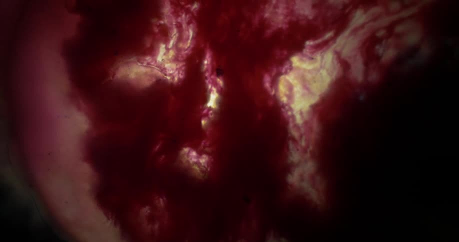Smoke flowing in shades of yellow and red