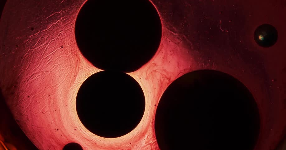 Birds eye view of cells dividing