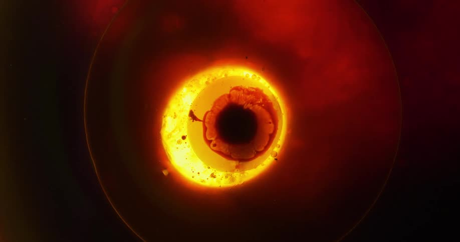 A red blob is suspended in front of a light source in fluid