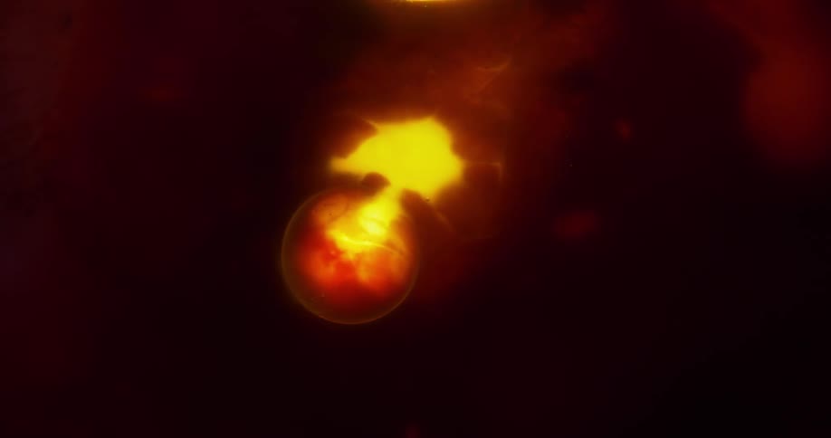 A ball of light glows in darkness