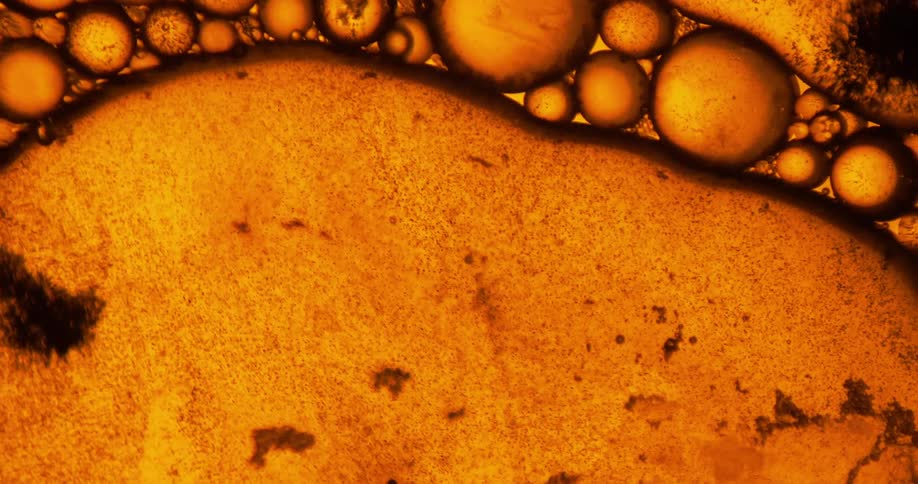 Circles of orange lava