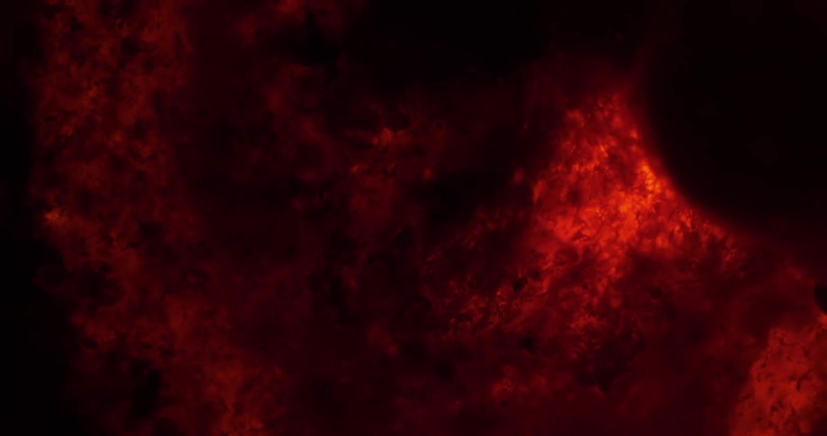 Particles and bubbles floating up in a sea of red and black