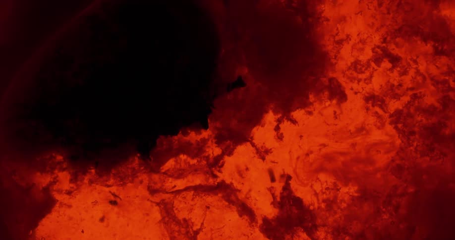 Oils of black and red spill together