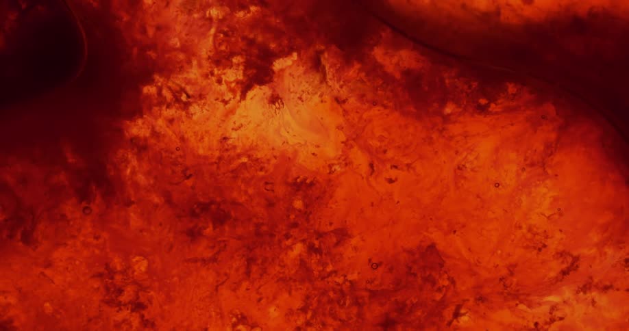 A red fluid suspension has small bubbles and streams subtly flowing through it