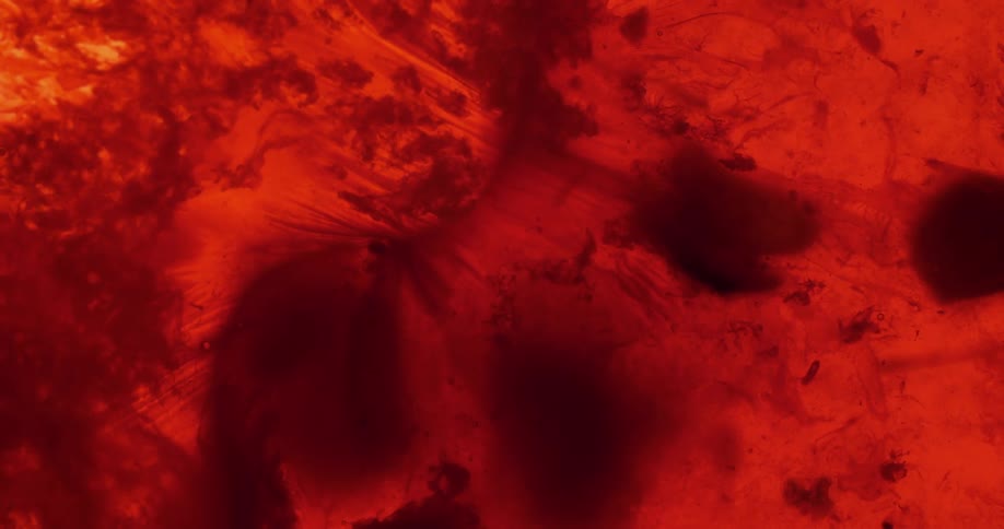 A red textured liquid moving across the screen