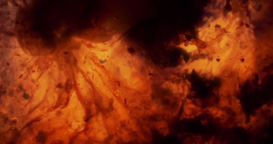 Close up view of fire and flames