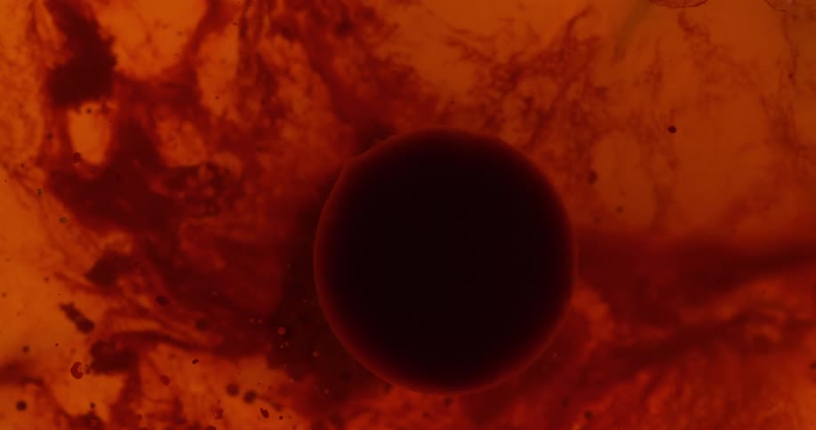 A black circle moves around in the orange liquid