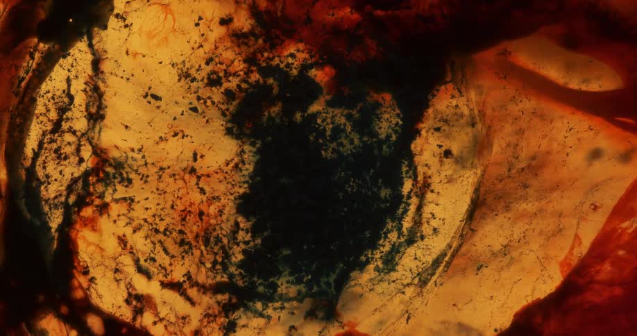 Expanding circle of liquid with floating specks with a black mass