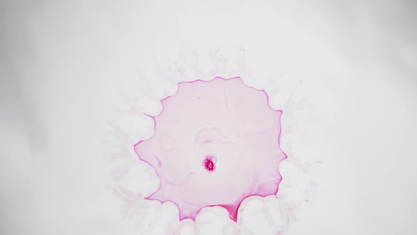 Pink ink in a white liquid in reverse