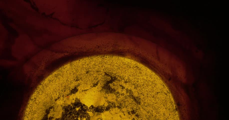 Black yellow and brown colors move like liquid