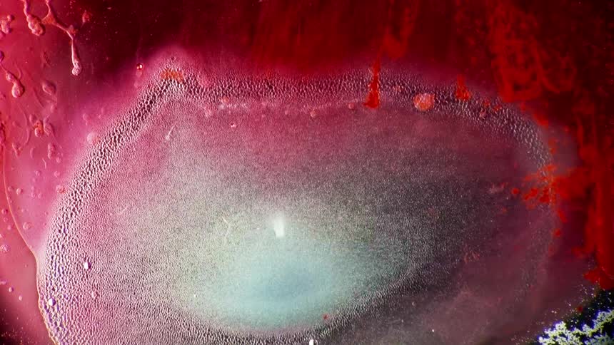 White pink red and black colors move like liquid