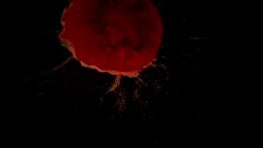 The red color moves and retracts in the black