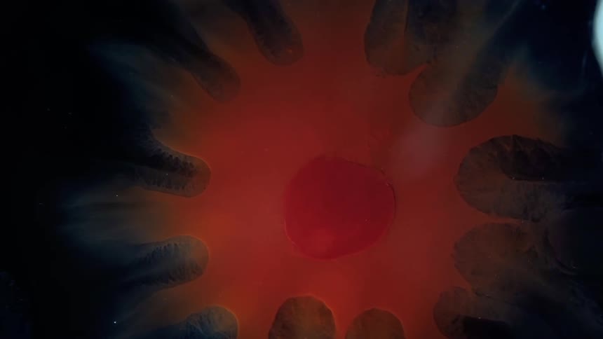 Circles of black oil surround the red