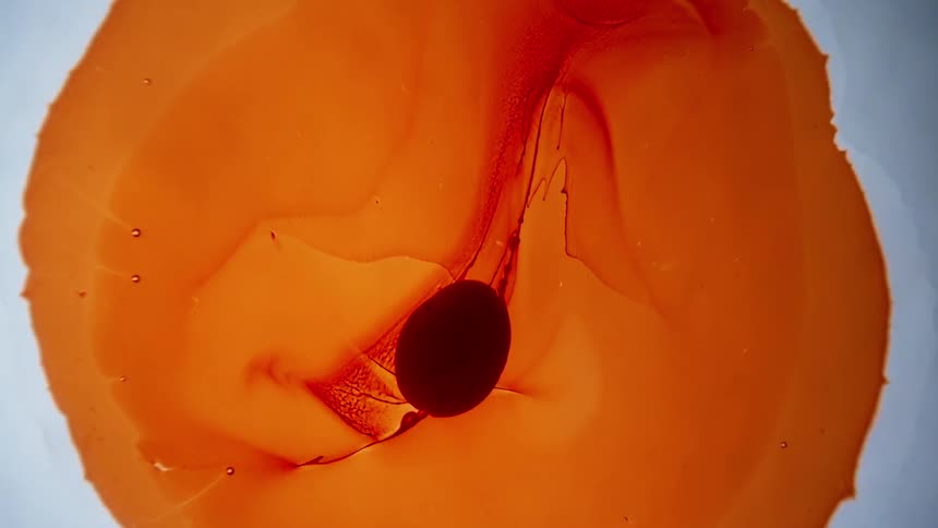 Abstract view of liquids moving and swirling
