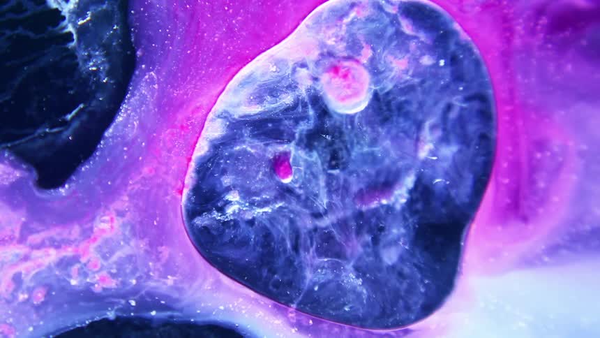 Pink and purple fluid moving around a blue blob