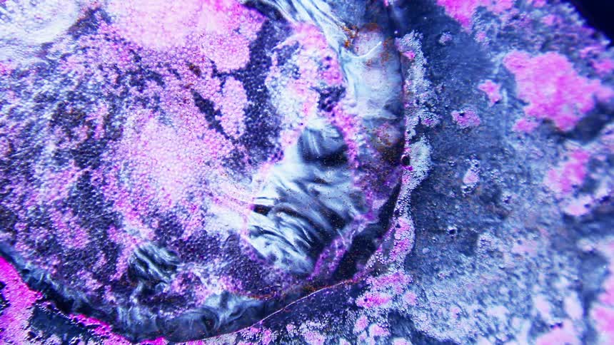 Abstract view of colored liquids moving