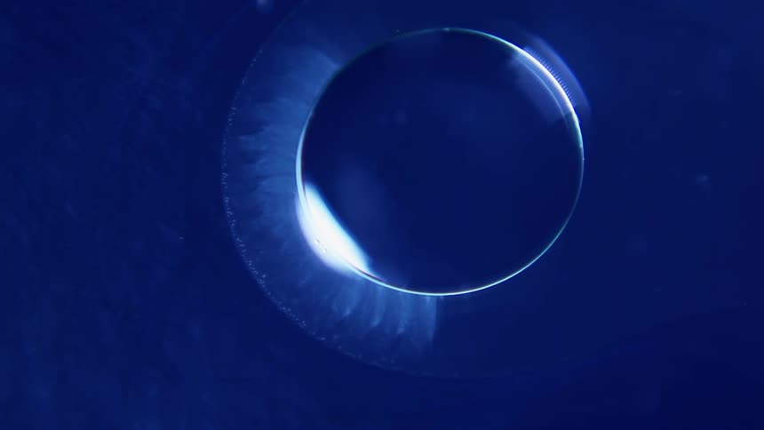 A blue orb floats in a larger fluid