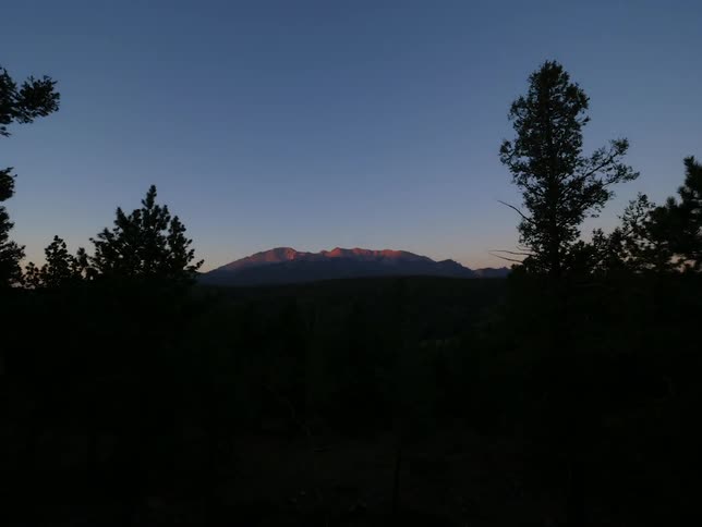 A forest with a mountain and the sky in the background